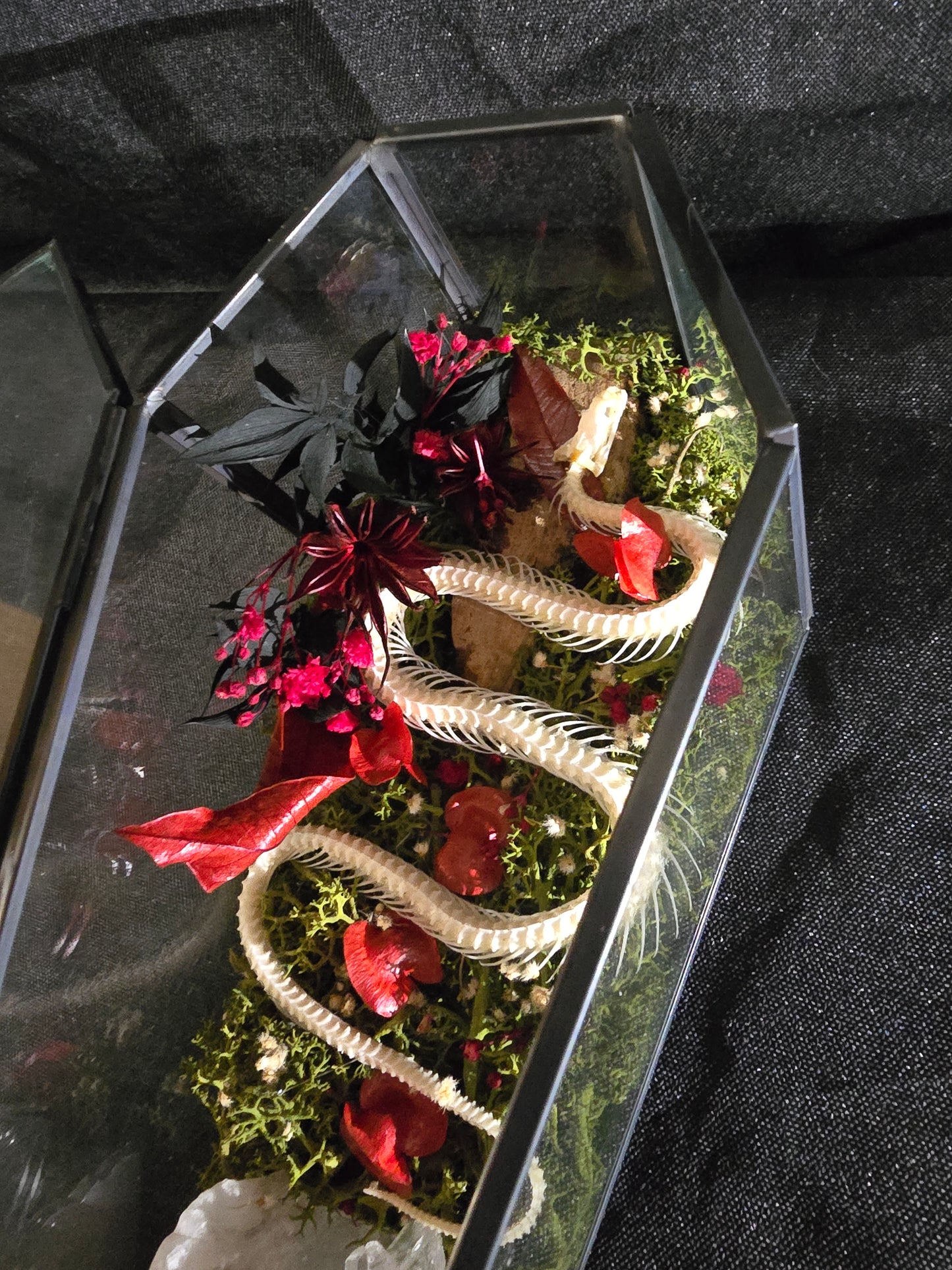 Snake Quartz Coffin