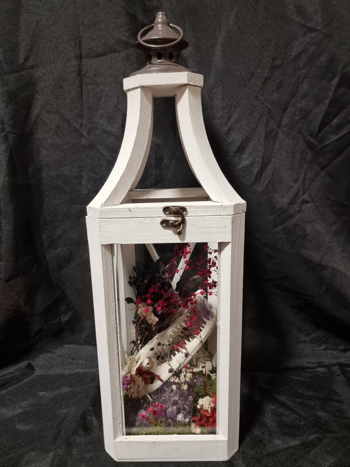 Croc amethyst lantern