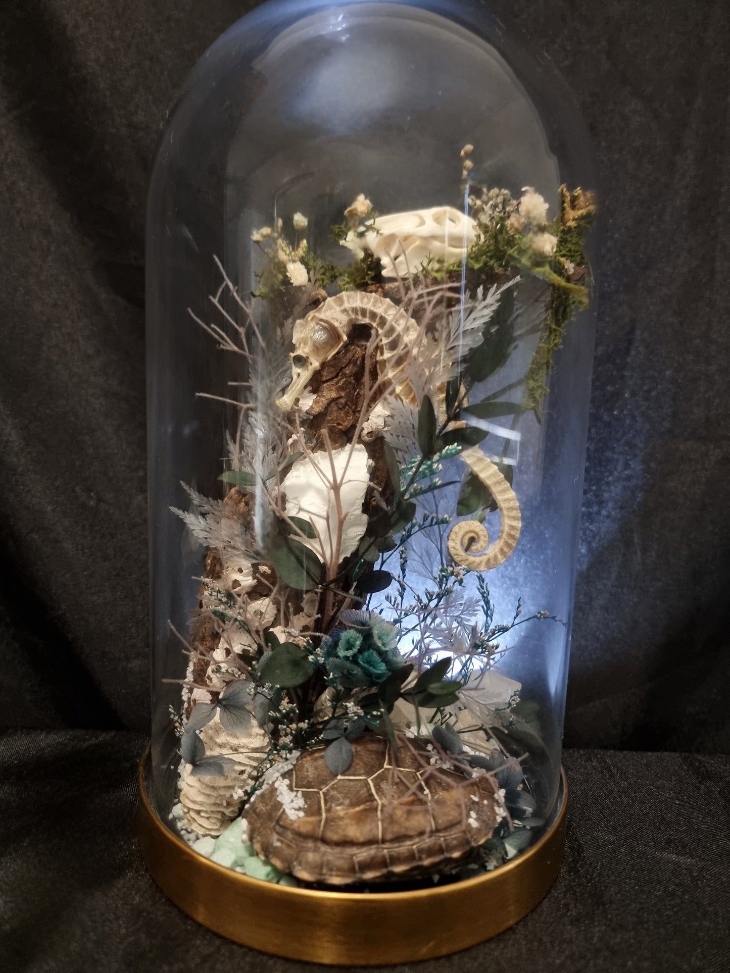 Ocean relics - Seahorse and turtle dome
