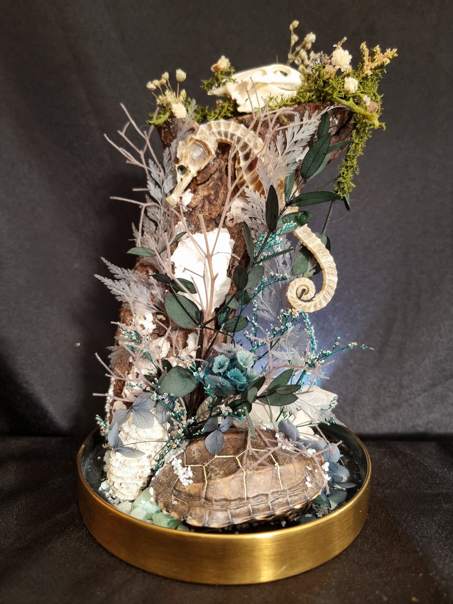 Ocean relics - Seahorse and turtle dome