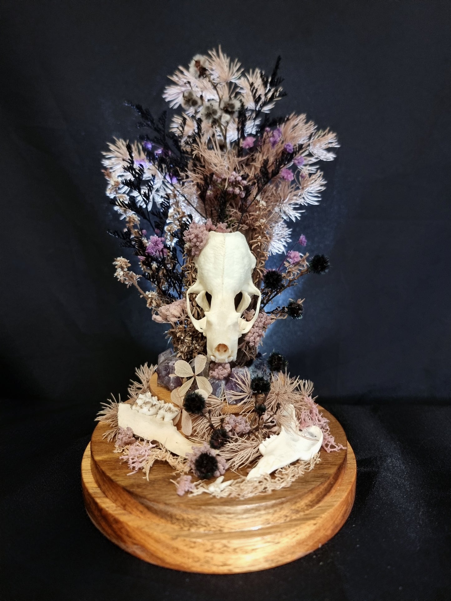 Mink skull amethyst dome