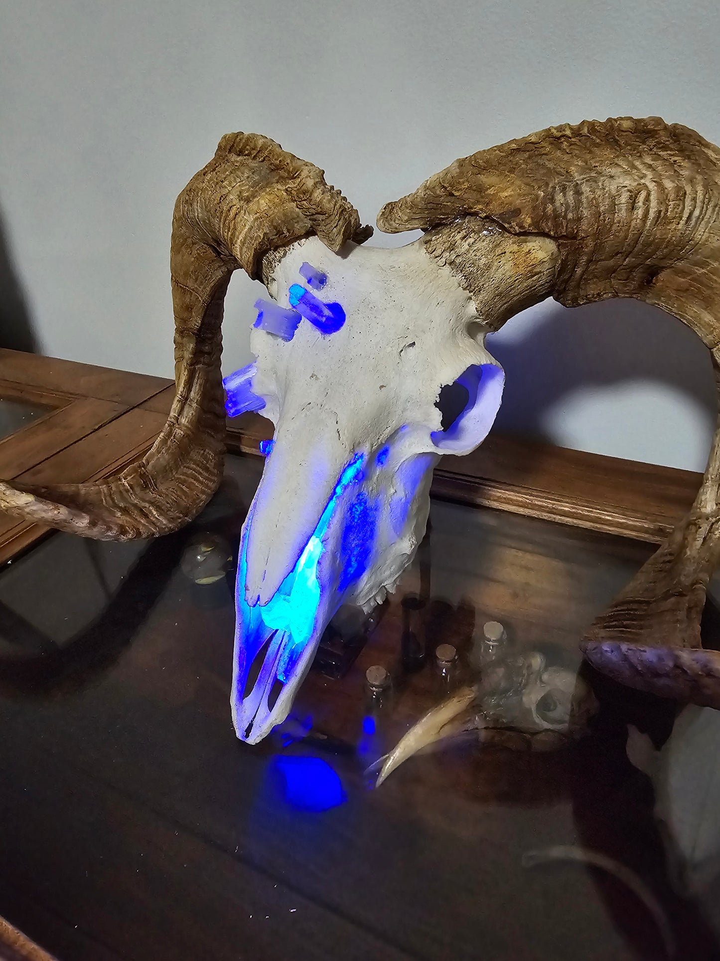 Ram Skull Lamp