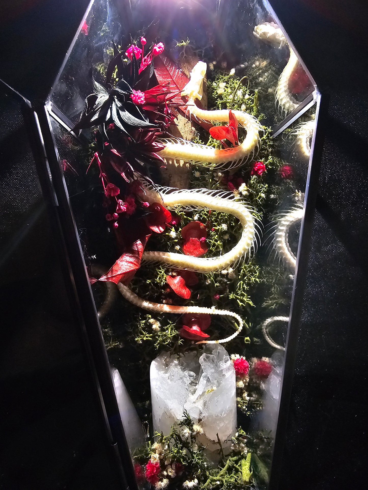 Snake Quartz Coffin