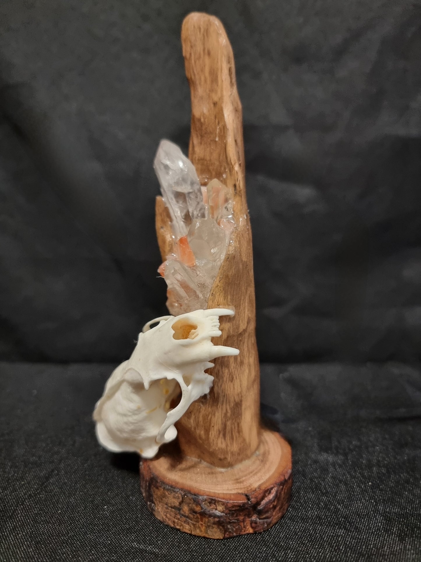 Mink skull fire crystal lamp