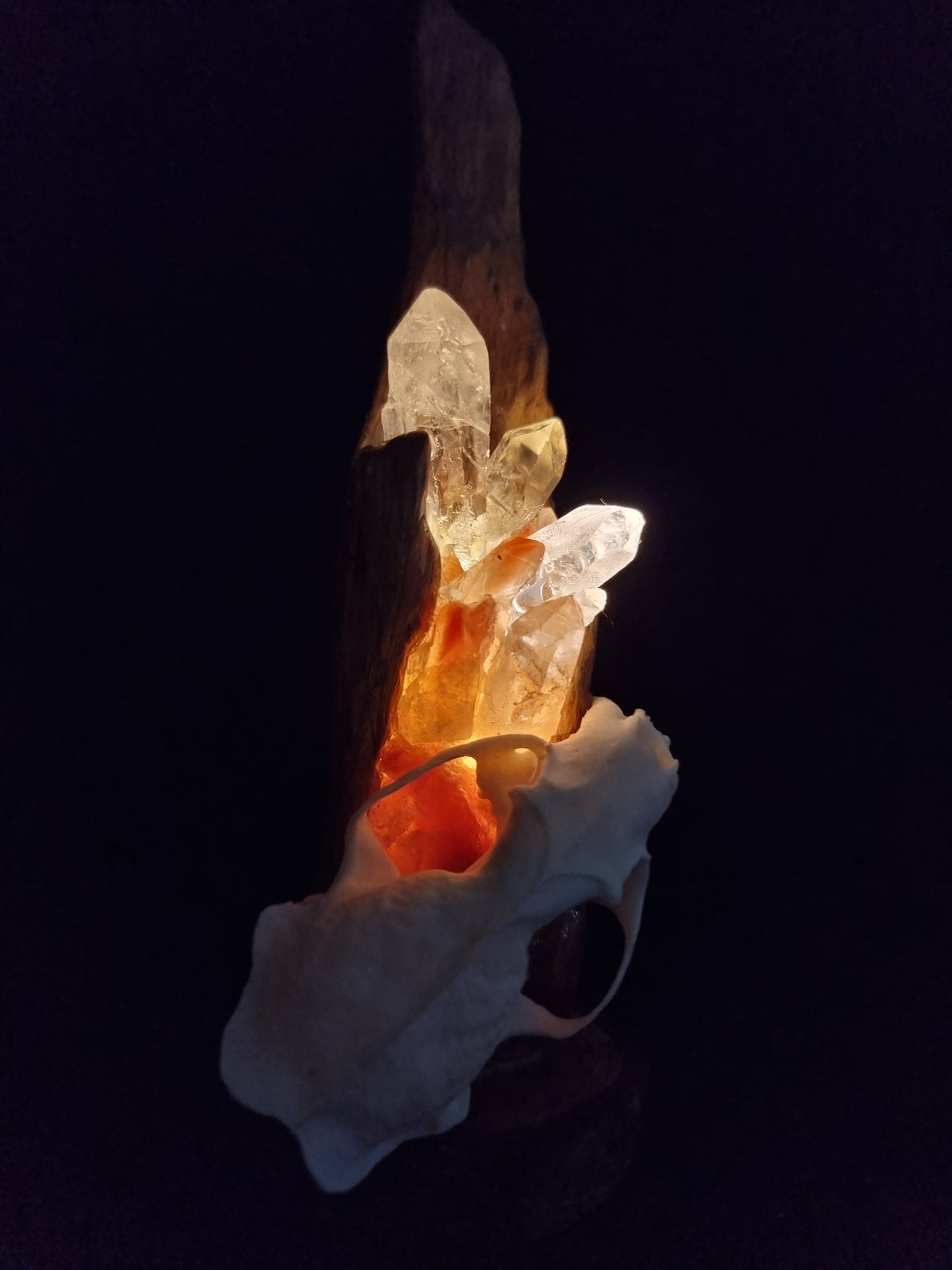 Mink skull fire crystal lamp
