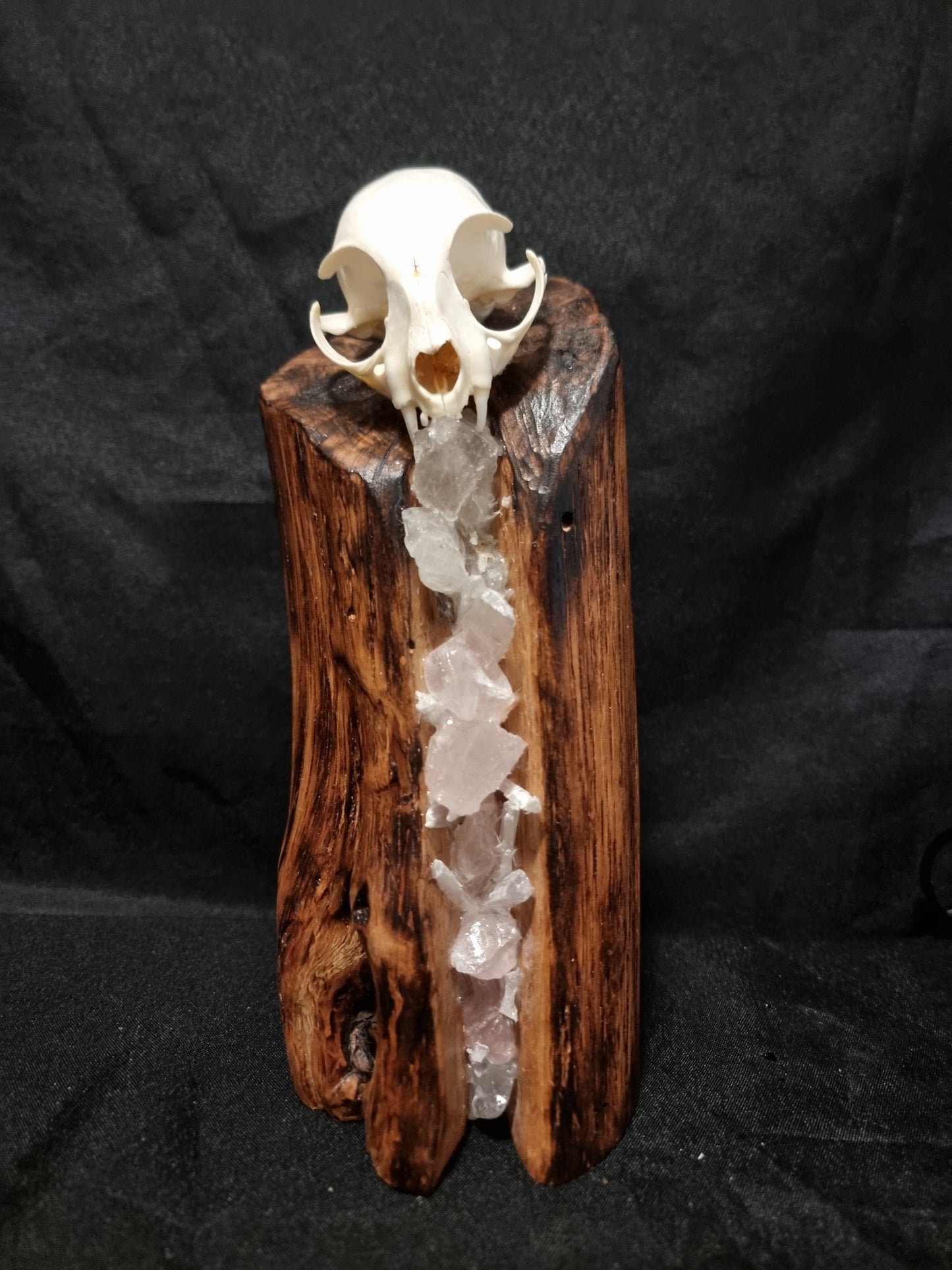 Cat skull rose quartz lamp