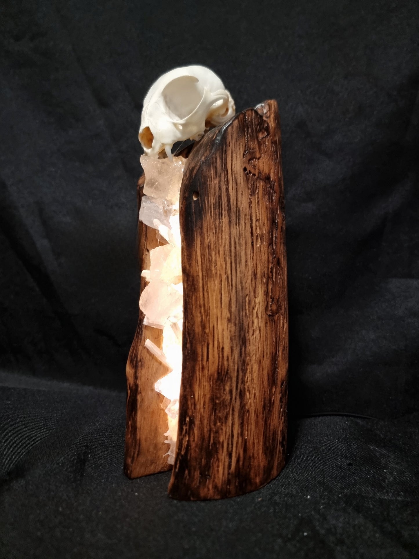 Cat skull rose quartz lamp