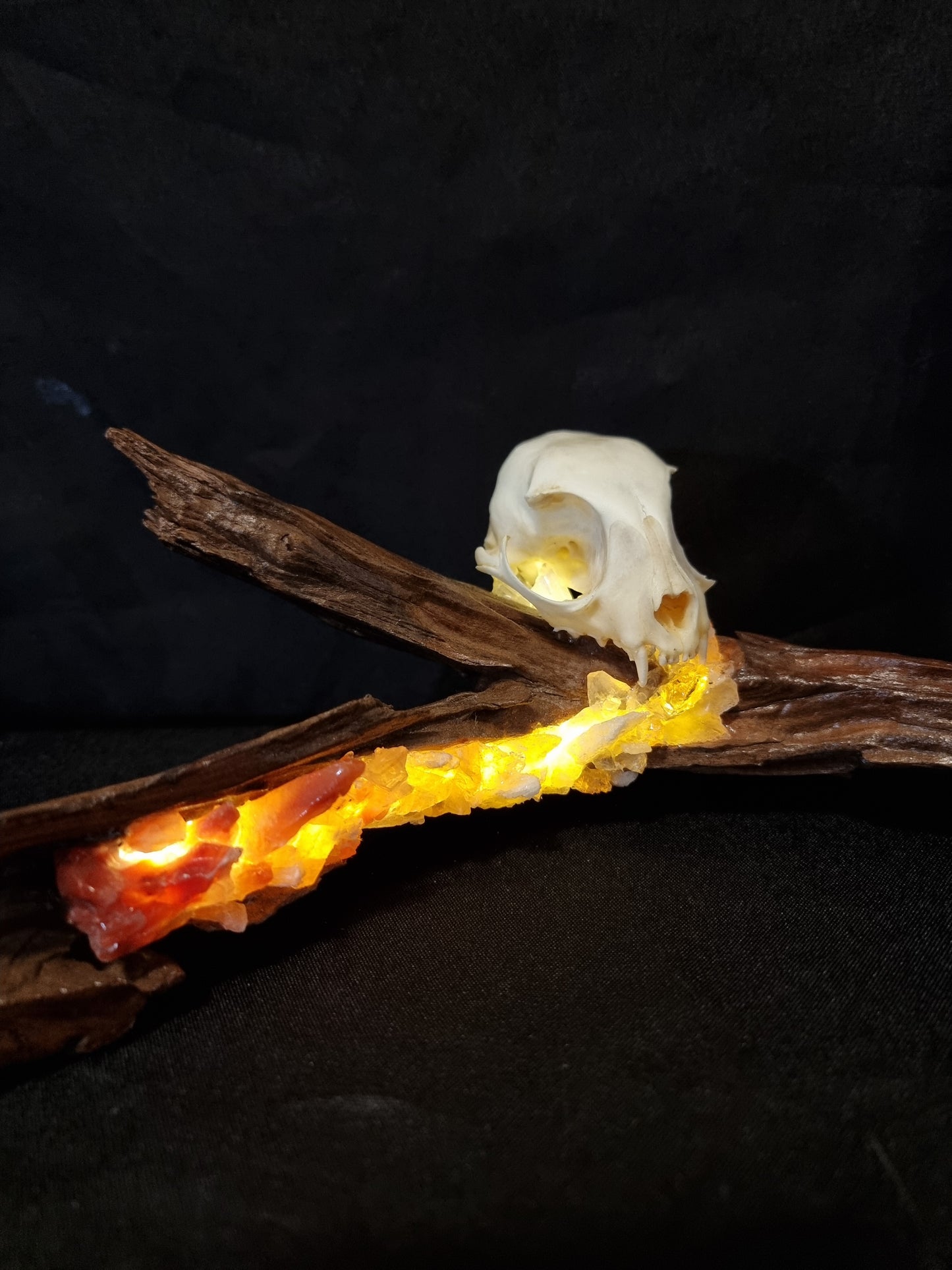 Cat skull fire crystal lamp