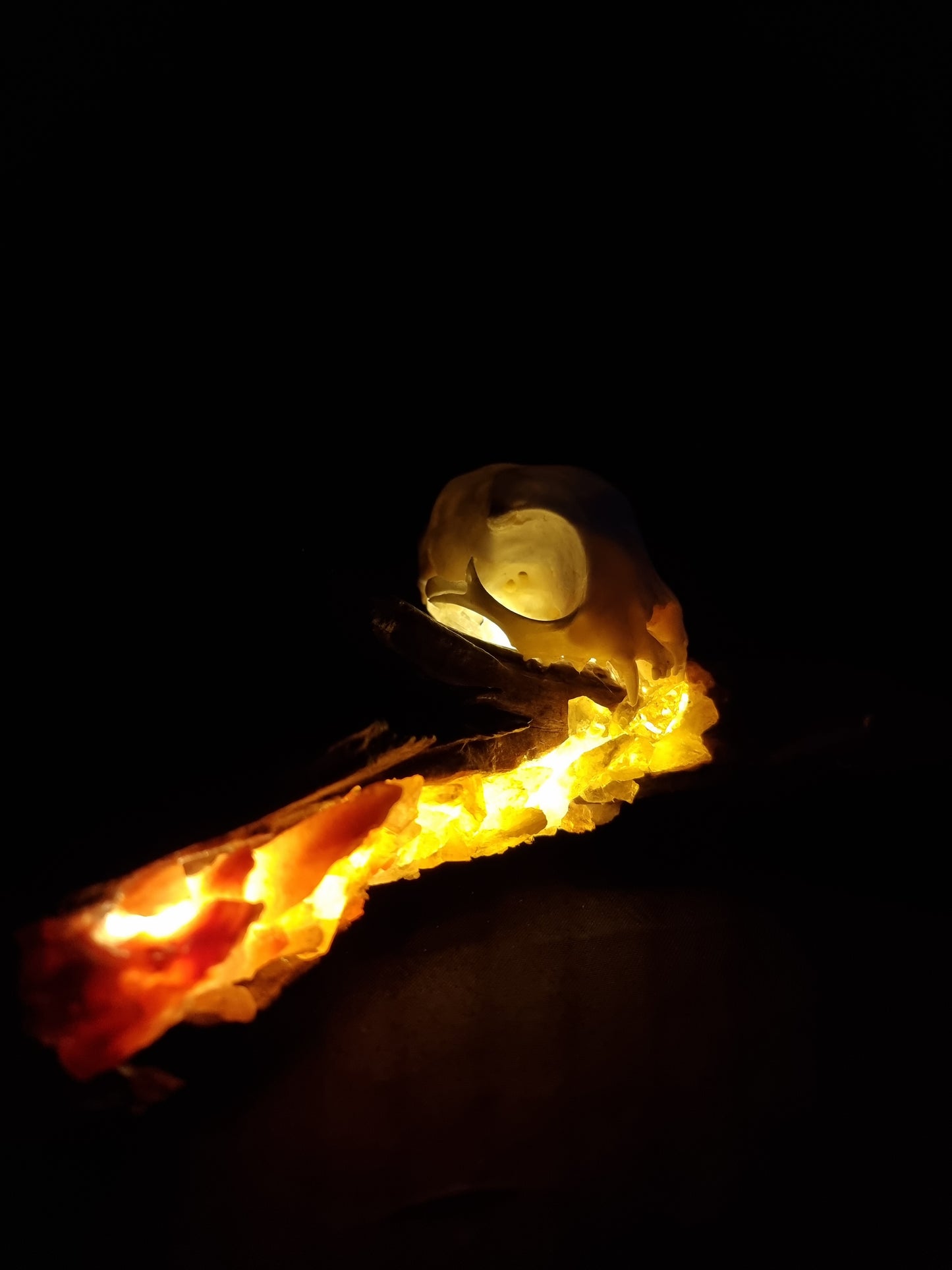 Cat skull fire crystal lamp
