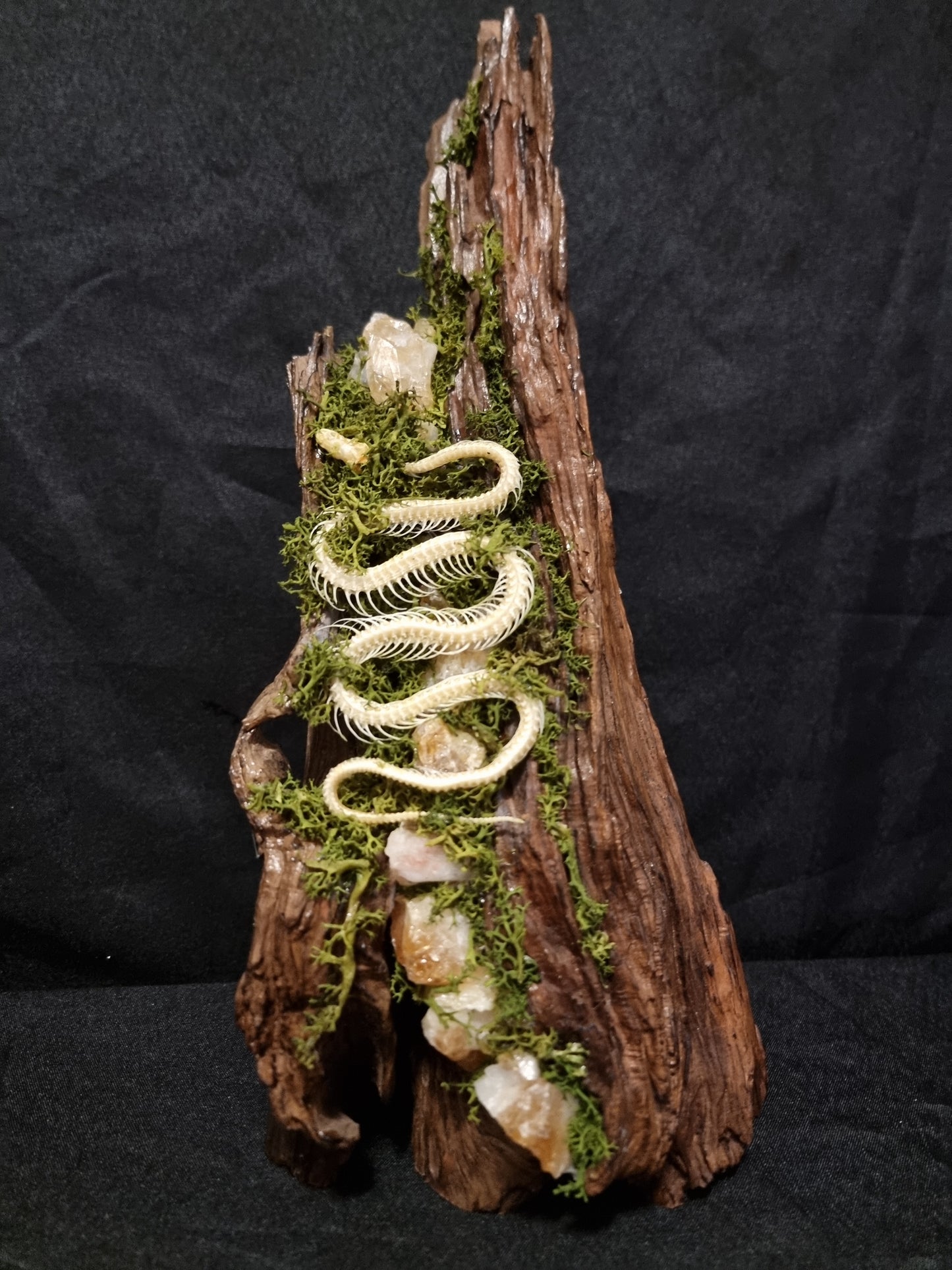 Snake skeleton citrine lamp