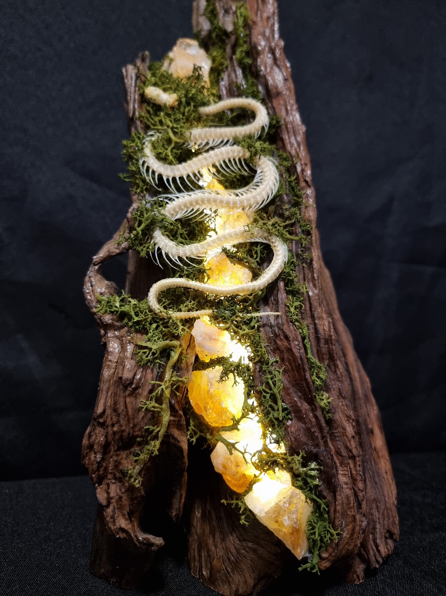 Snake skeleton citrine lamp
