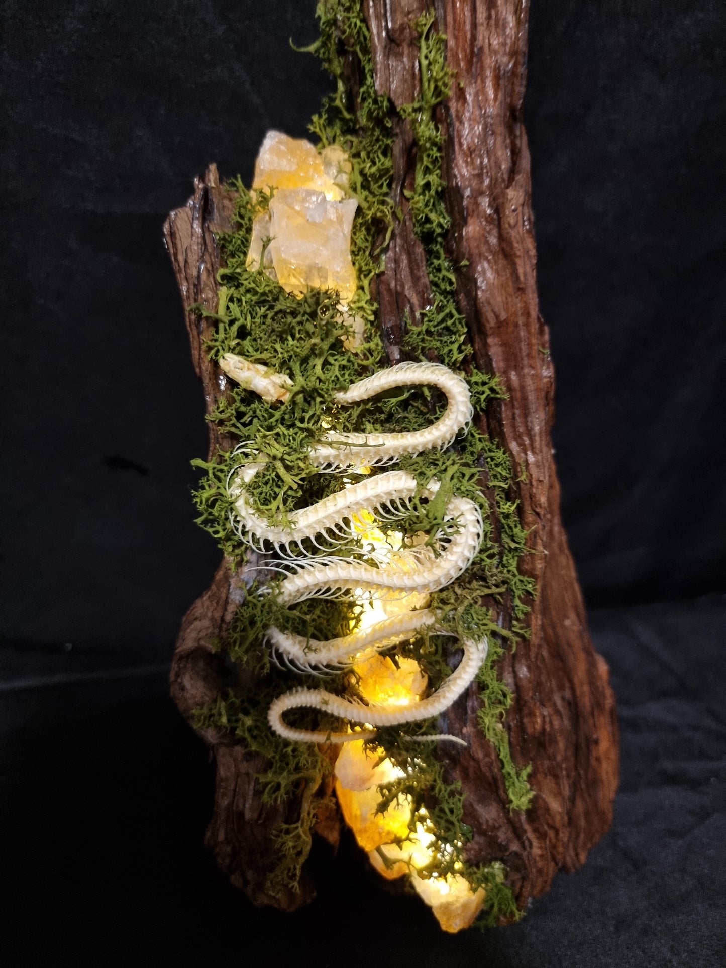 Snake skeleton citrine lamp