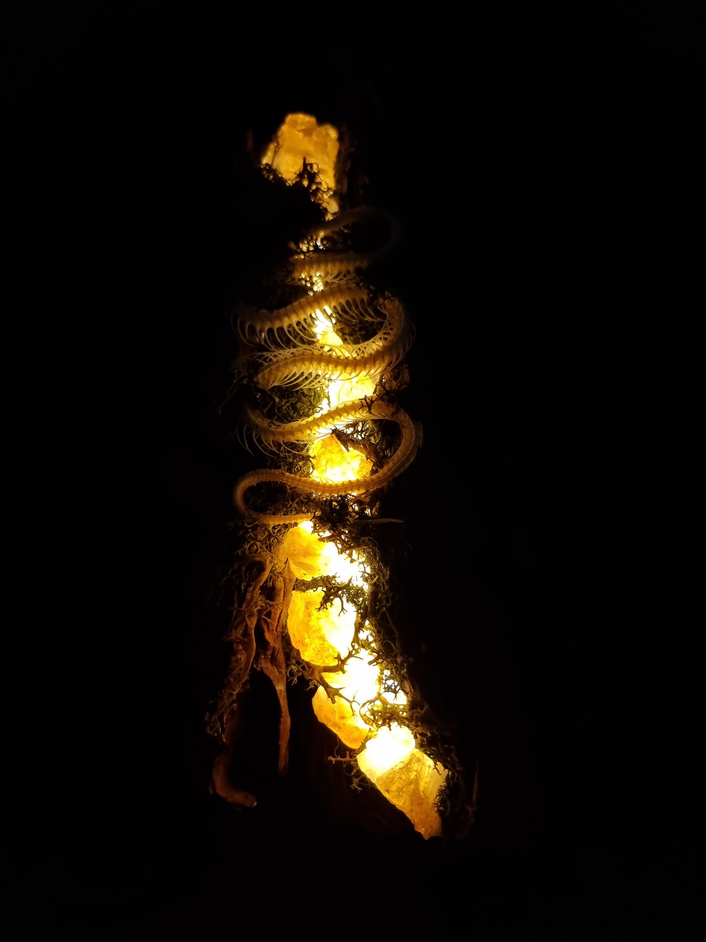 Snake skeleton citrine lamp