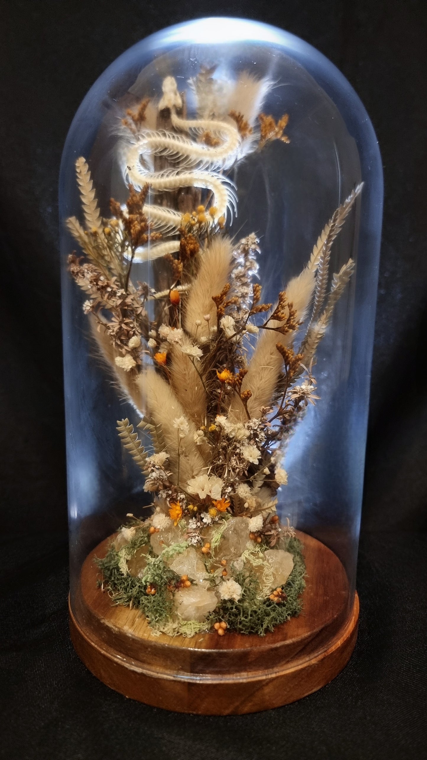 Snake skeleton citrine dome