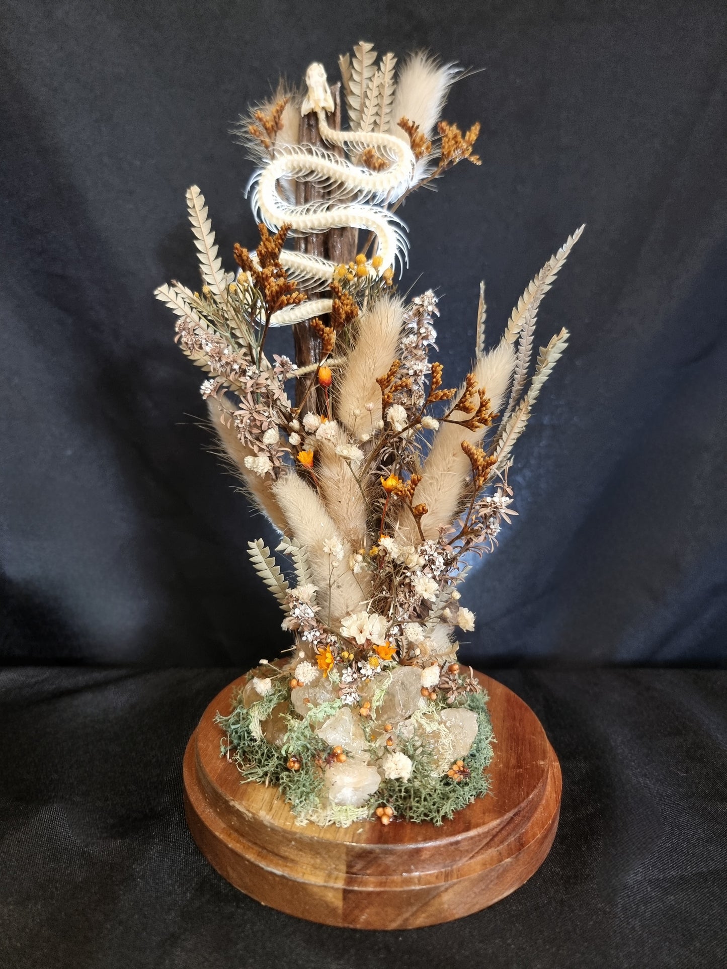 Snake skeleton citrine dome