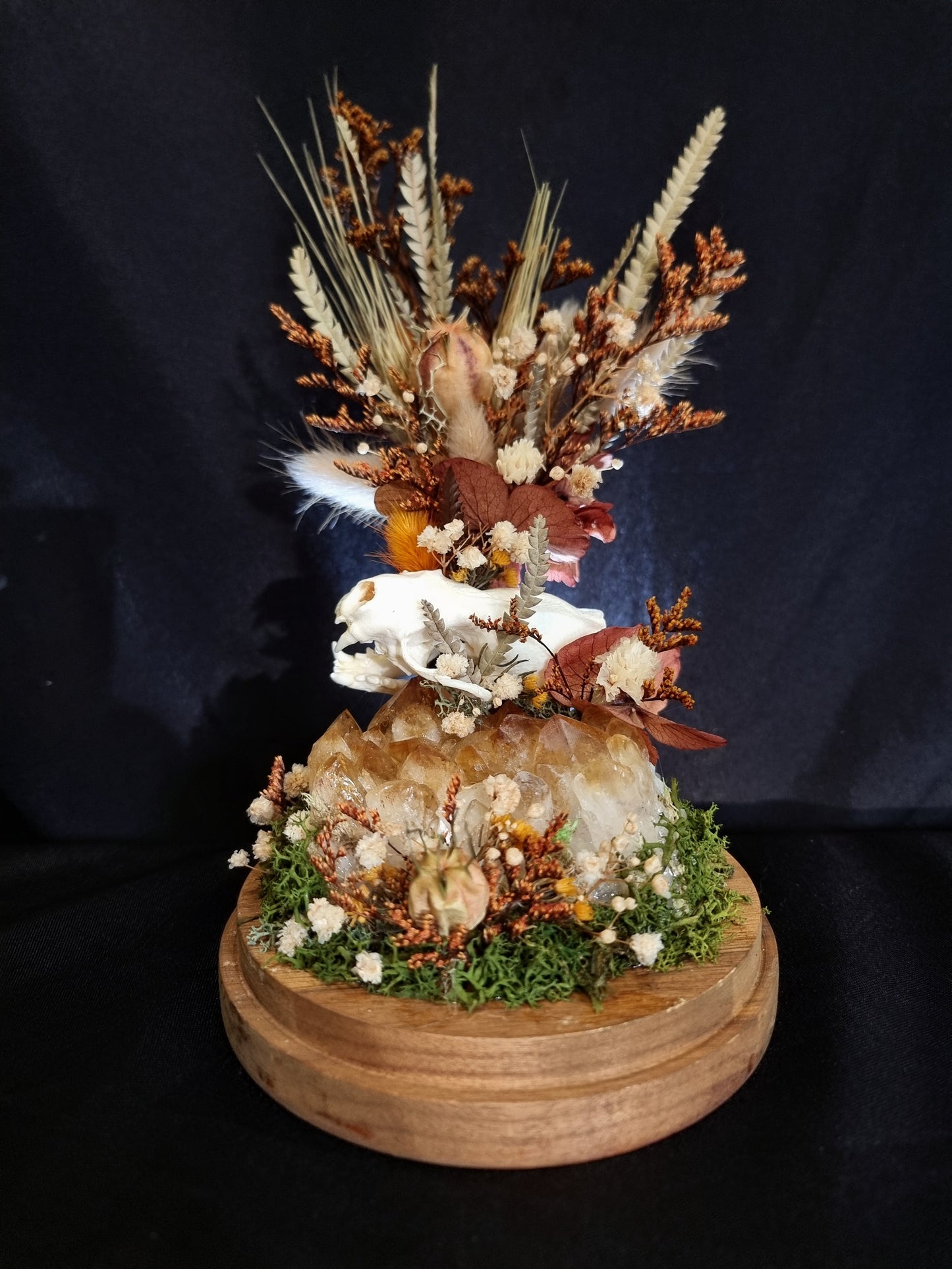 Mink skull citrine dome