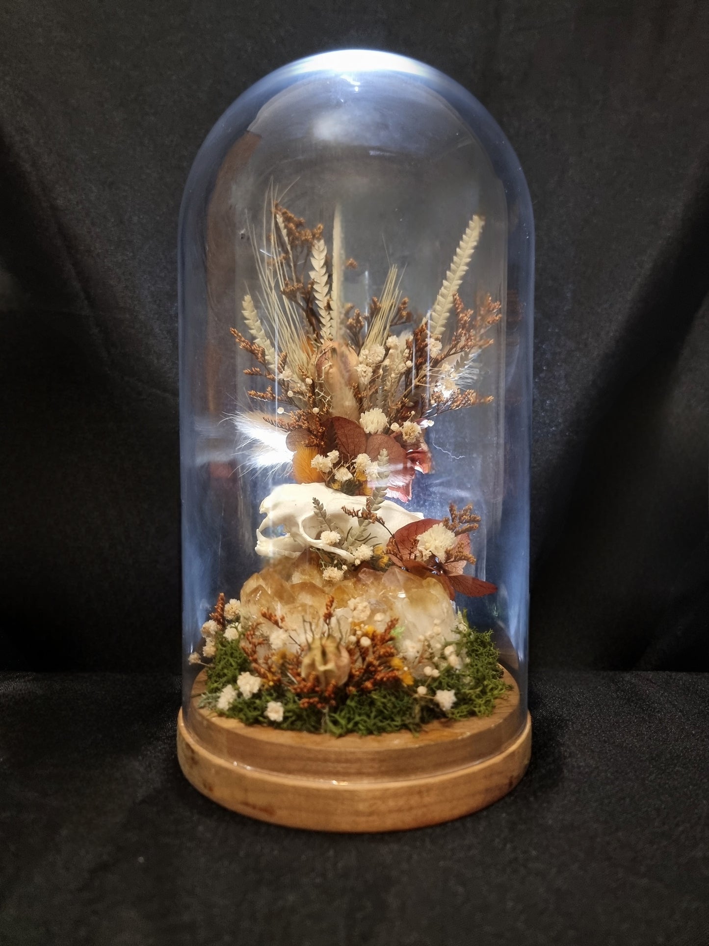 Mink skull citrine dome