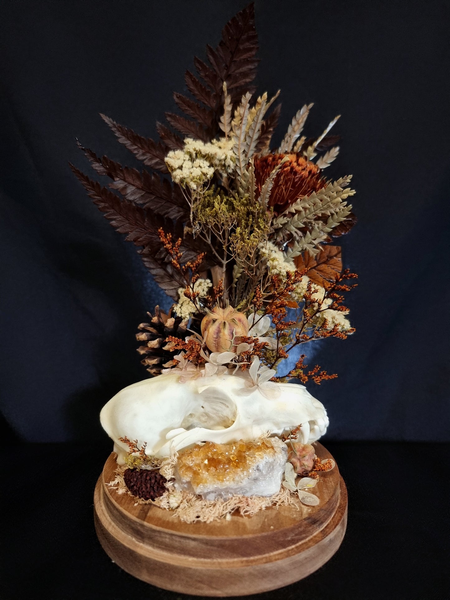 Fox skull citrine dome