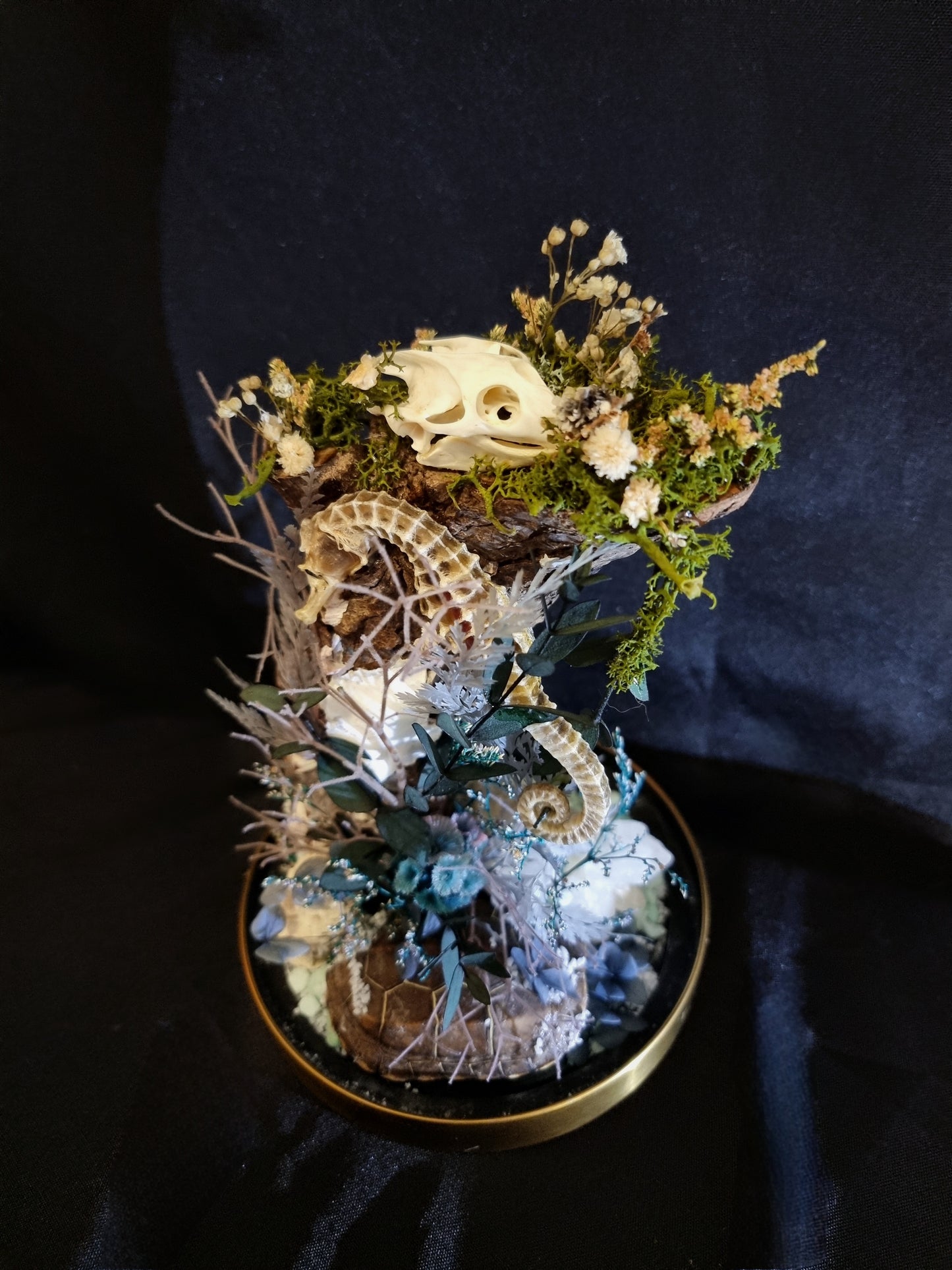 Ocean relics - Seahorse and turtle dome