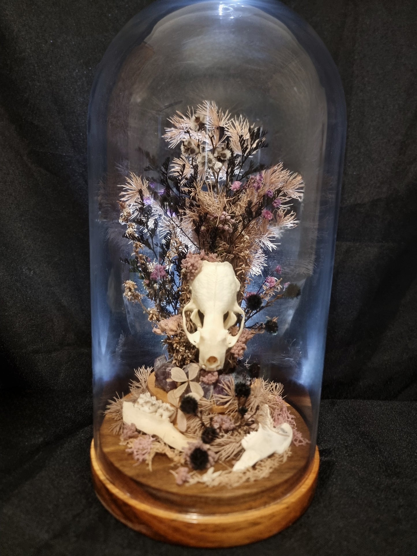 Mink skull amethyst dome