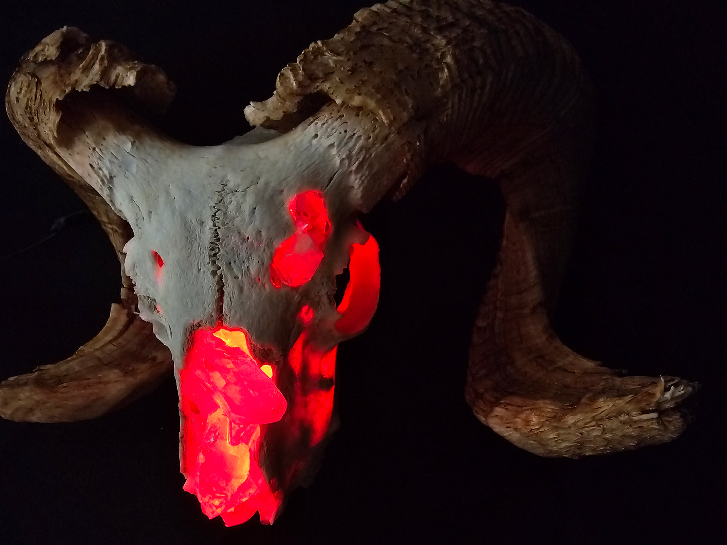 Ram skull lamp