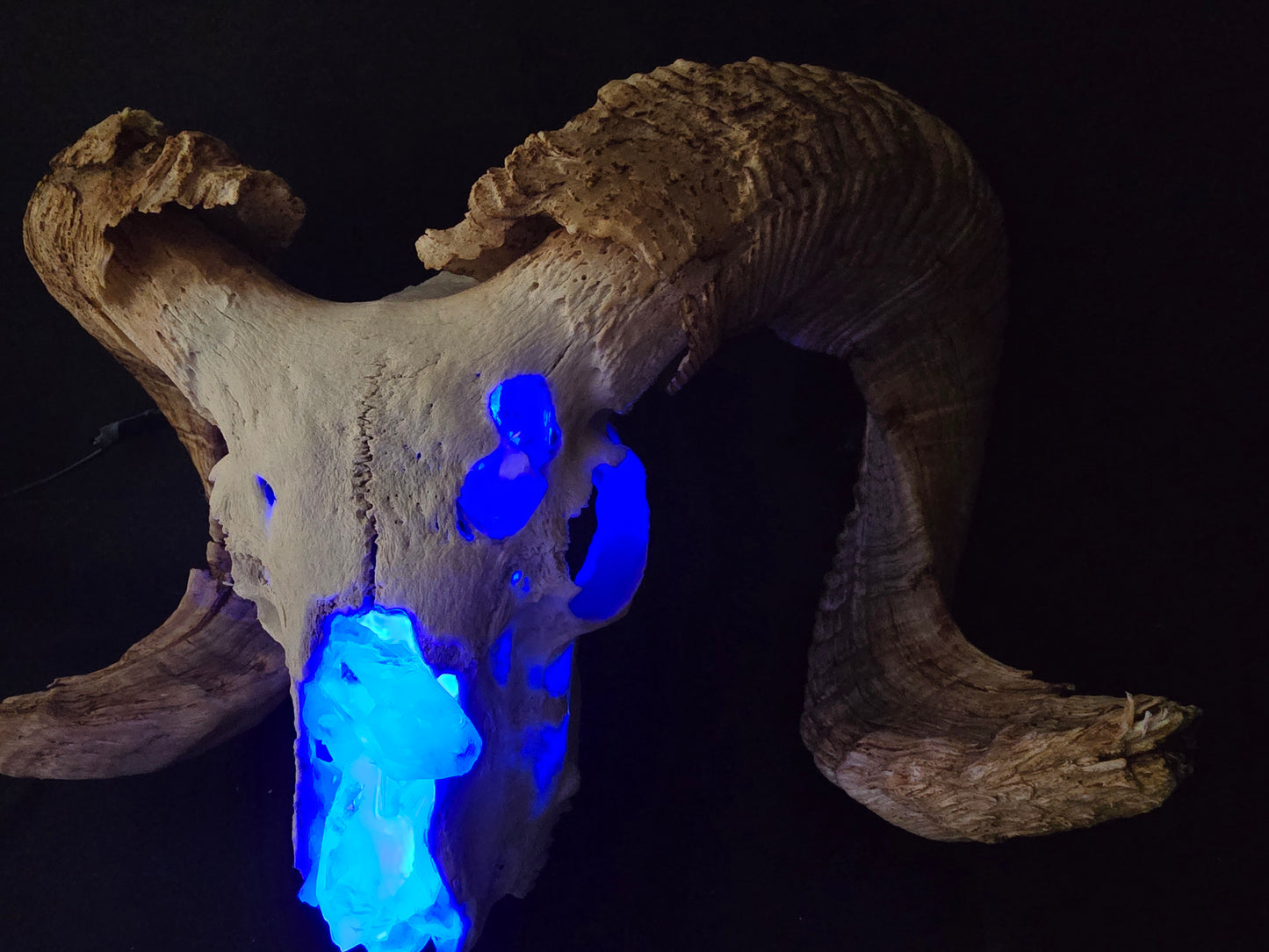 Ram skull lamp