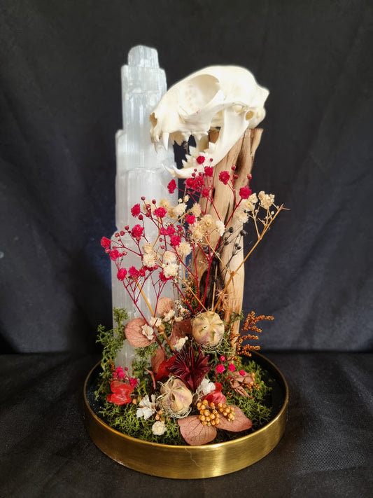 Cat skull selenite dome