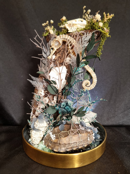 Ocean relics - Seahorse and turtle dome