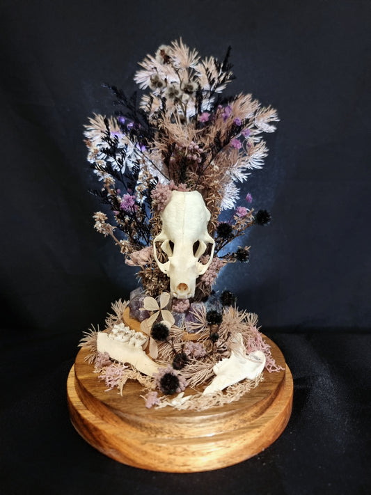 Mink skull amethyst dome