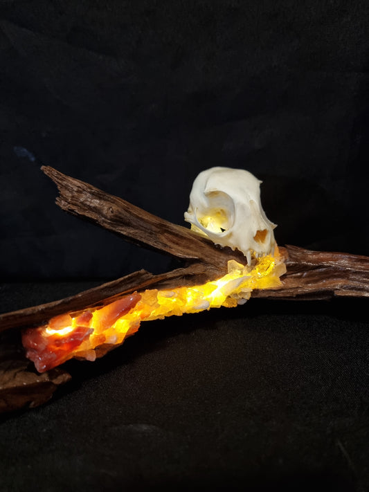 Cat skull fire crystal lamp