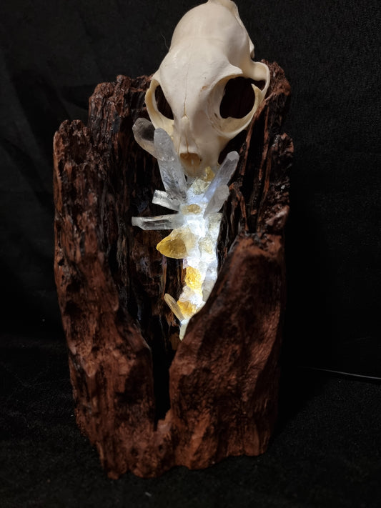 Cats Hollow - Cat skull citrine lamp
