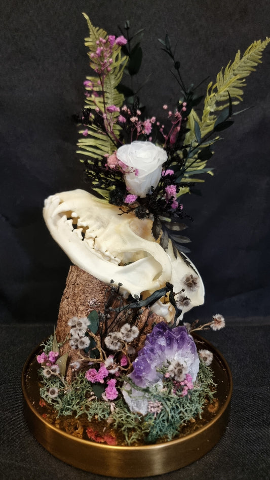 Fox Skull Amethyst Dome