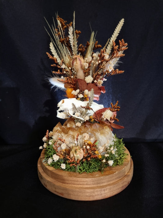 Mink skull citrine dome