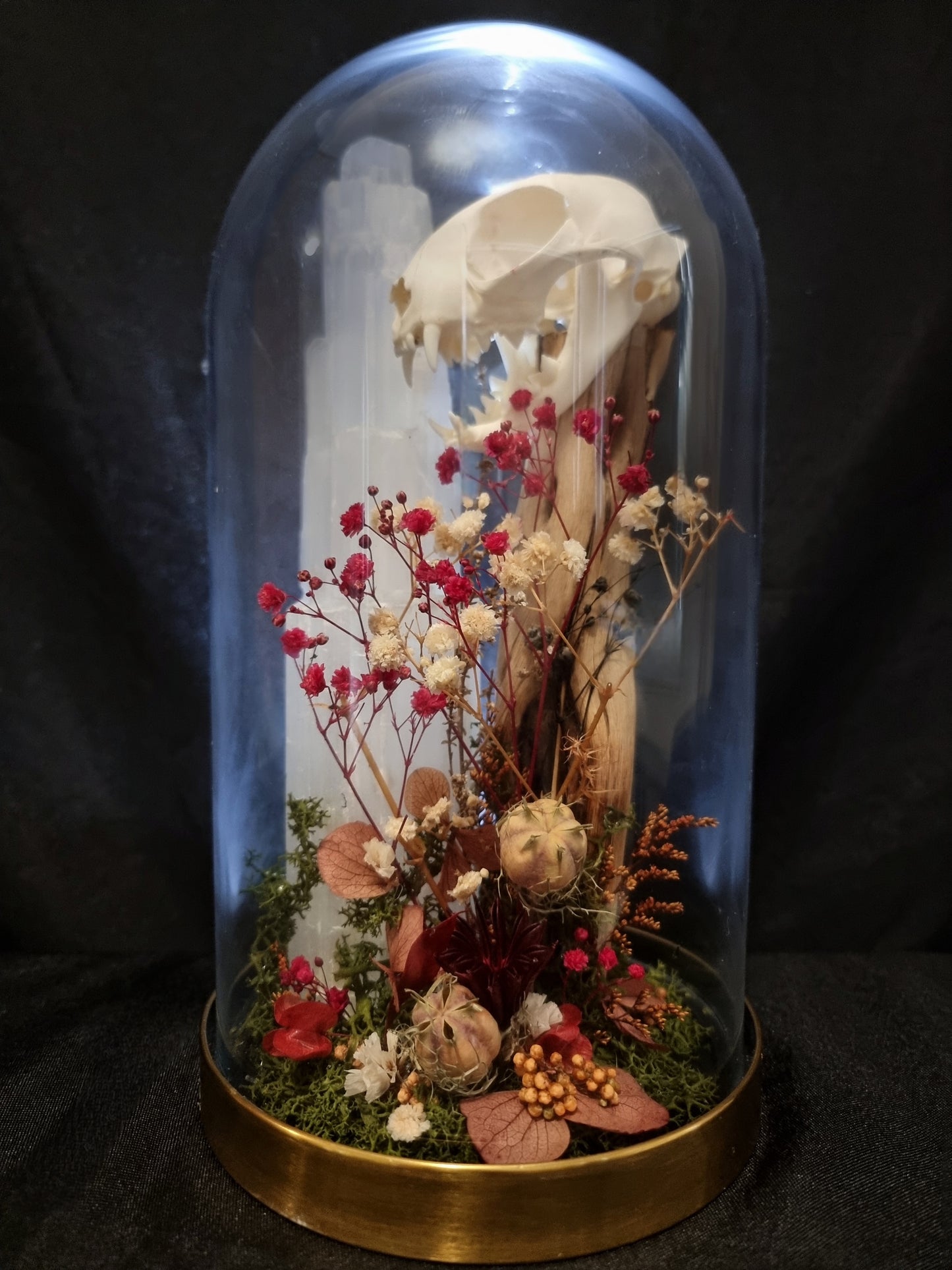 Cat skull selenite dome