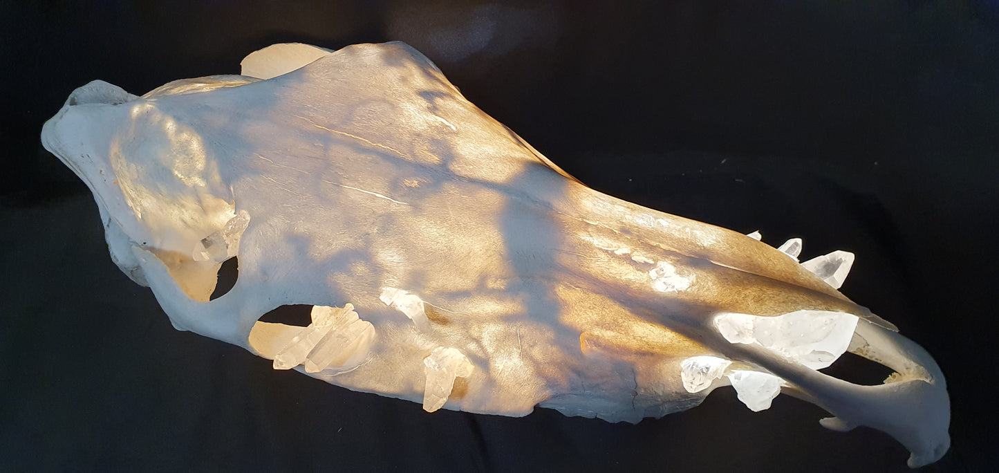 Warm Quartz Horse Lamp