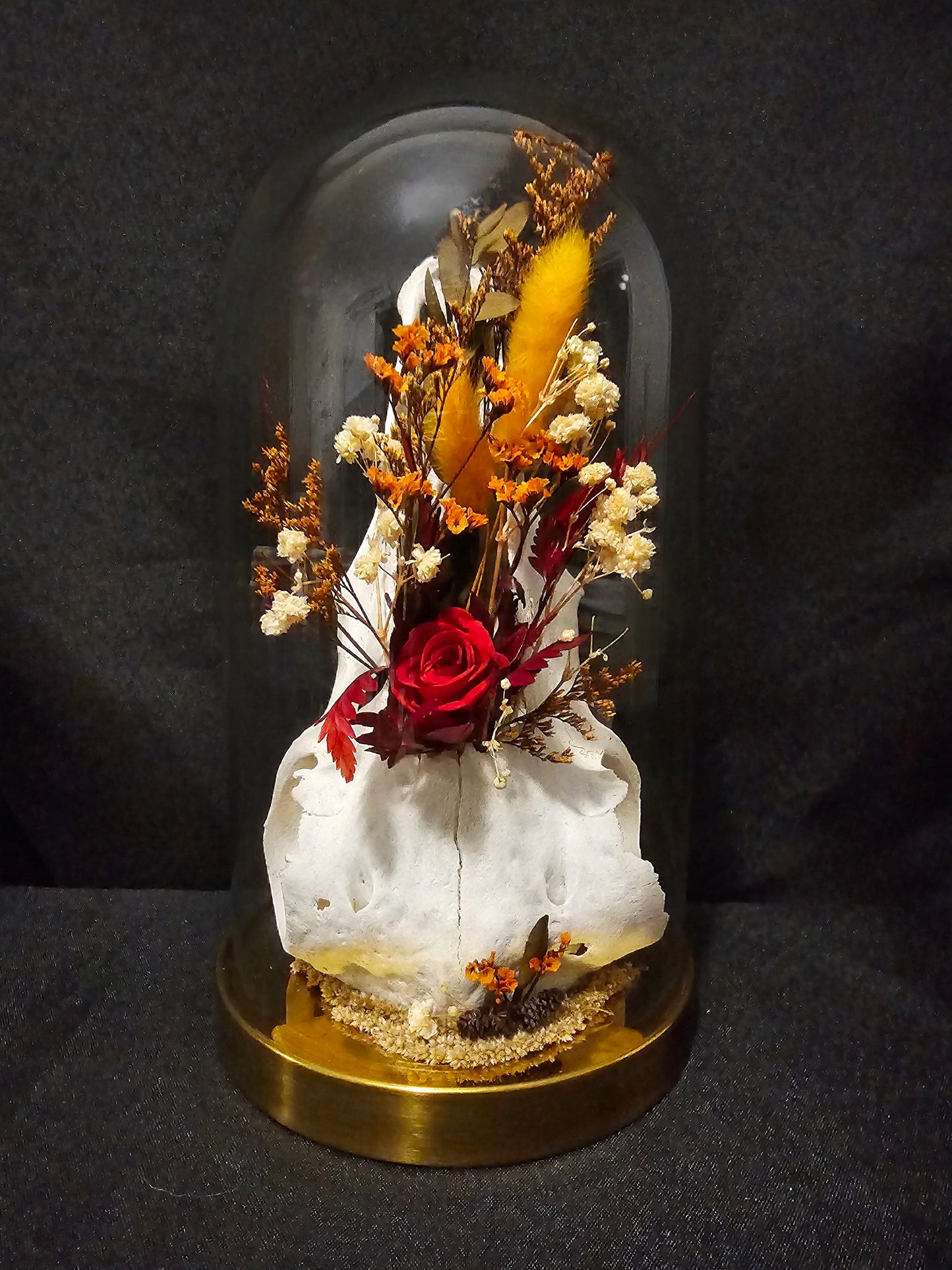 Sheep Autumn Red Terrarium