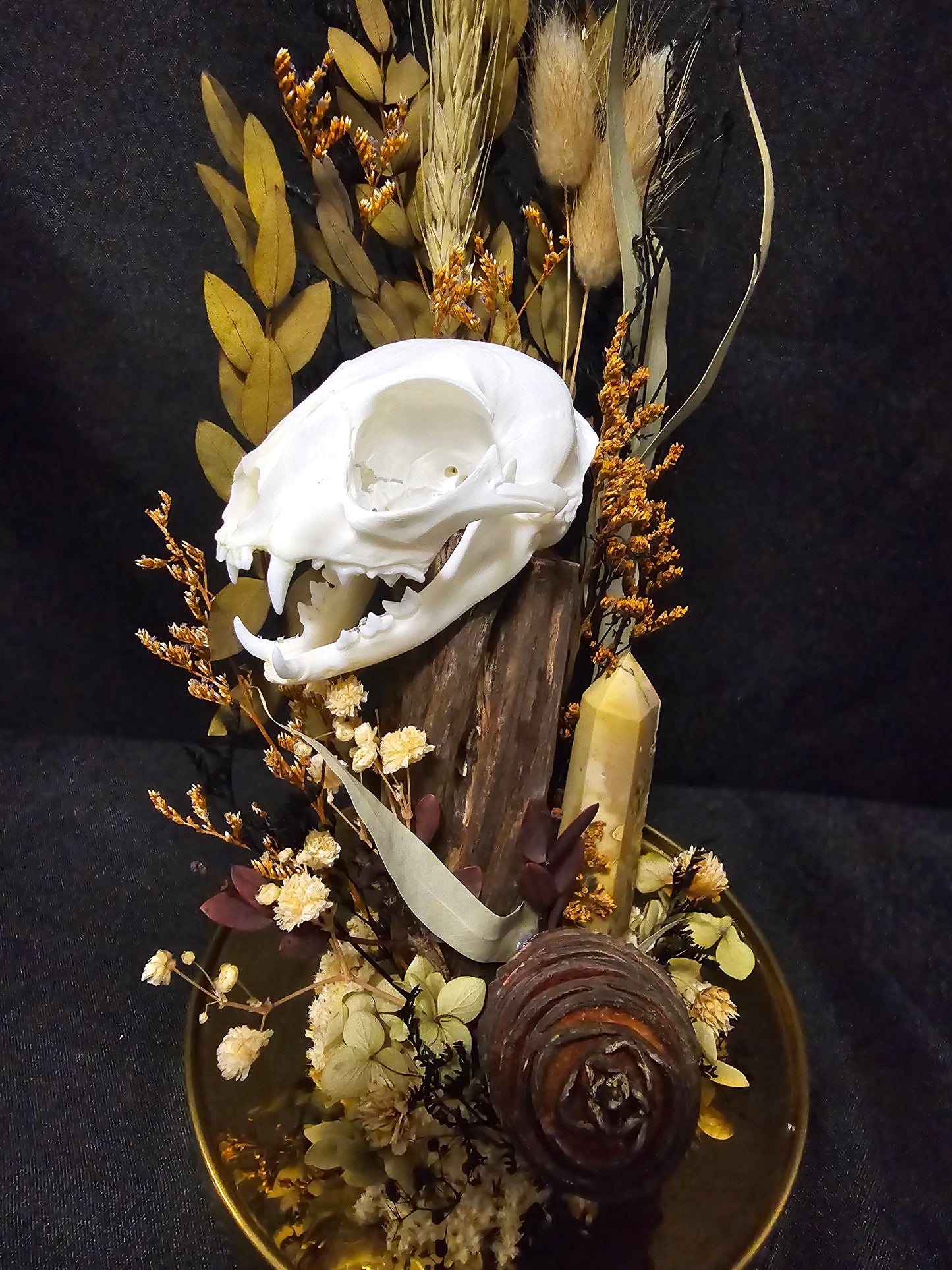 Cat Autumn Mookaite Terrarium