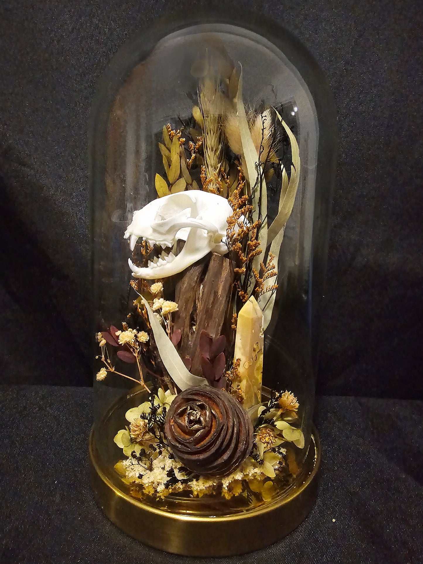 Cat Autumn Mookaite Terrarium