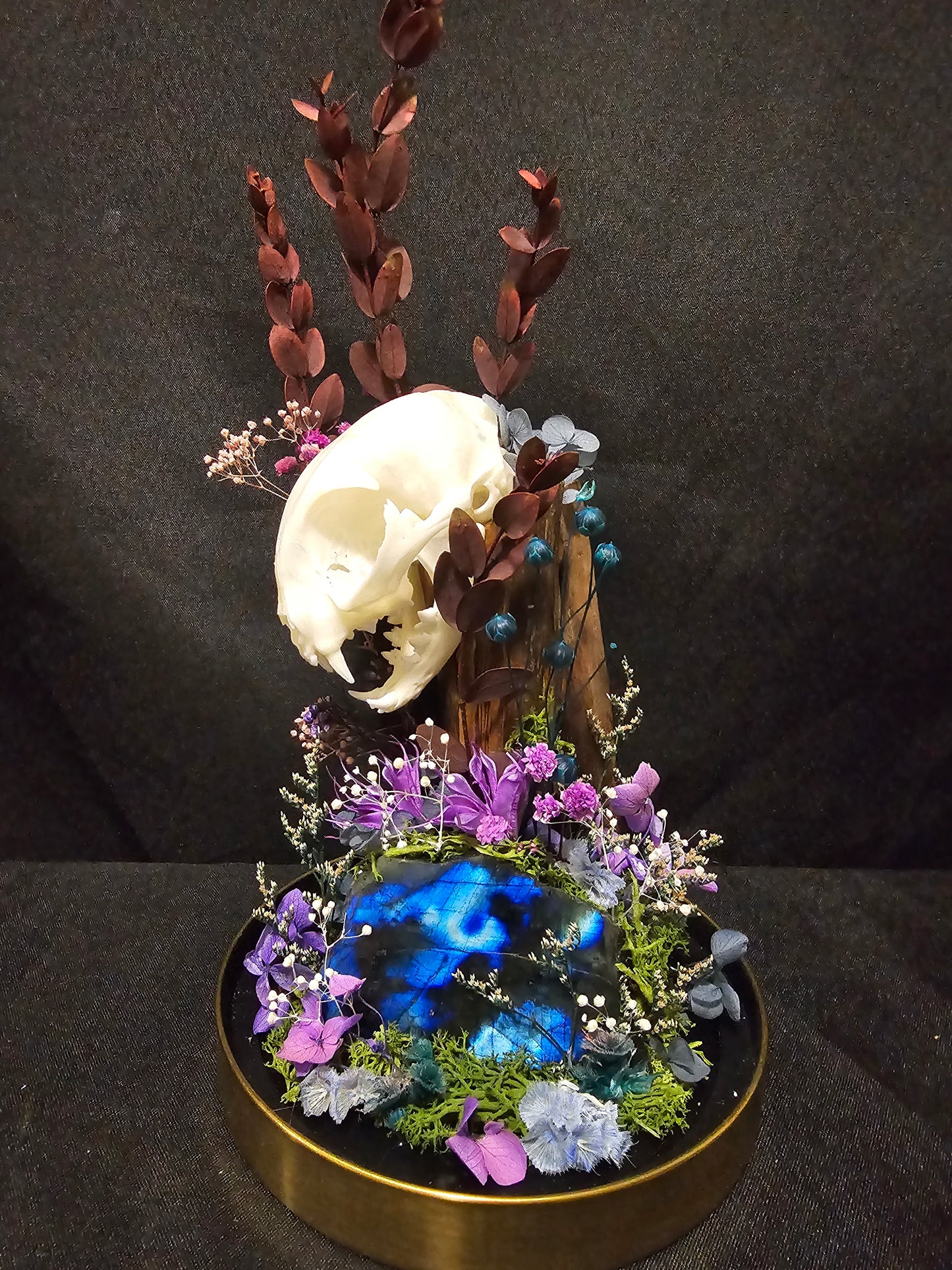 Cat Labradorite Terrarium