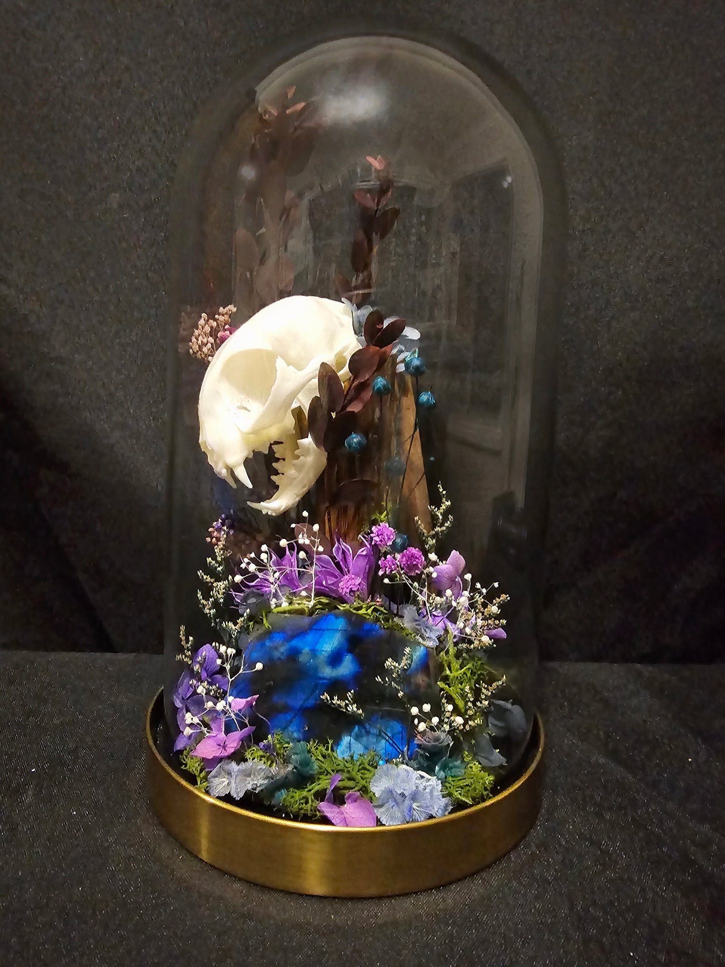 Cat Labradorite Terrarium