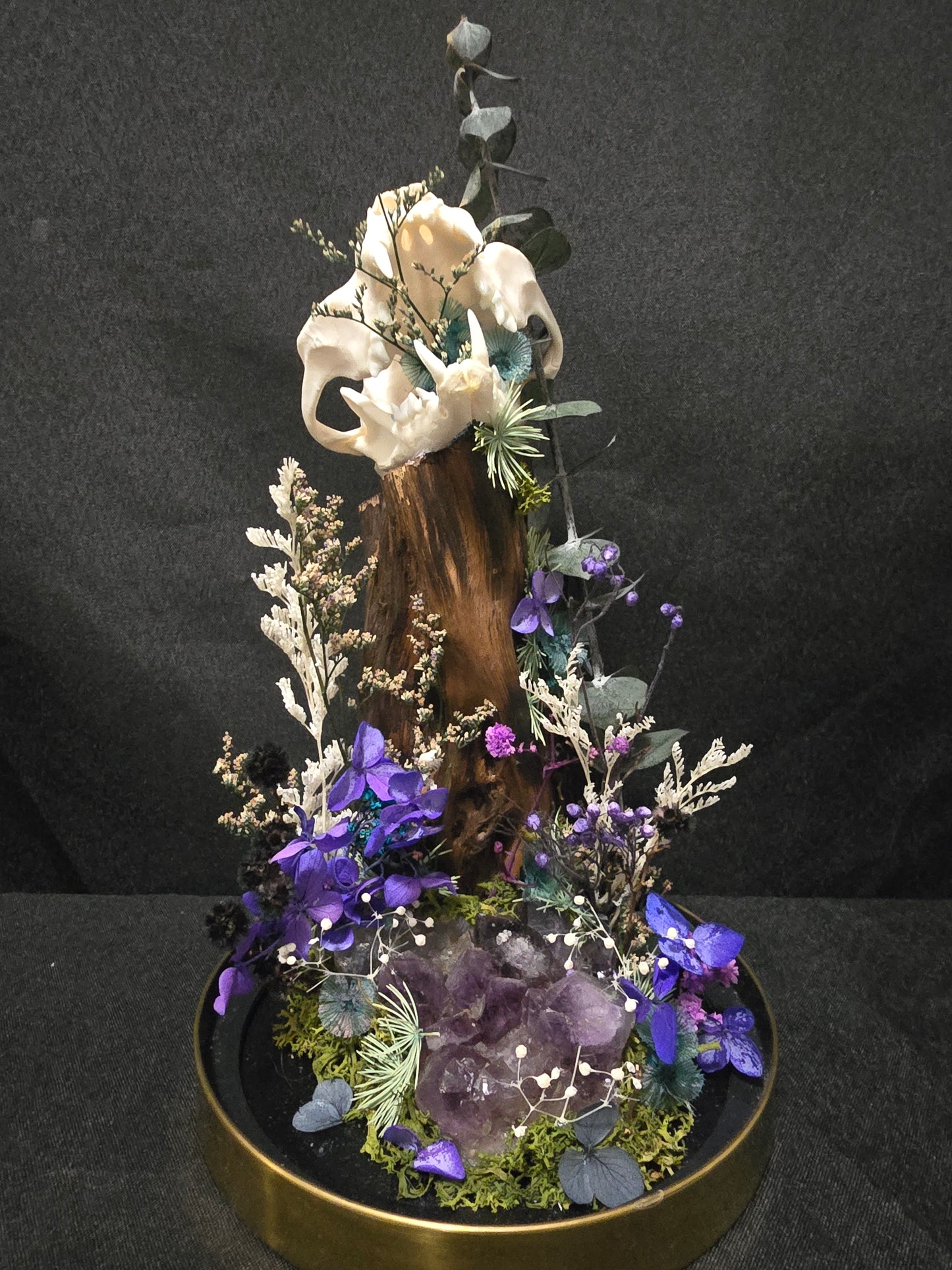 Cat Amethyst Terrarium