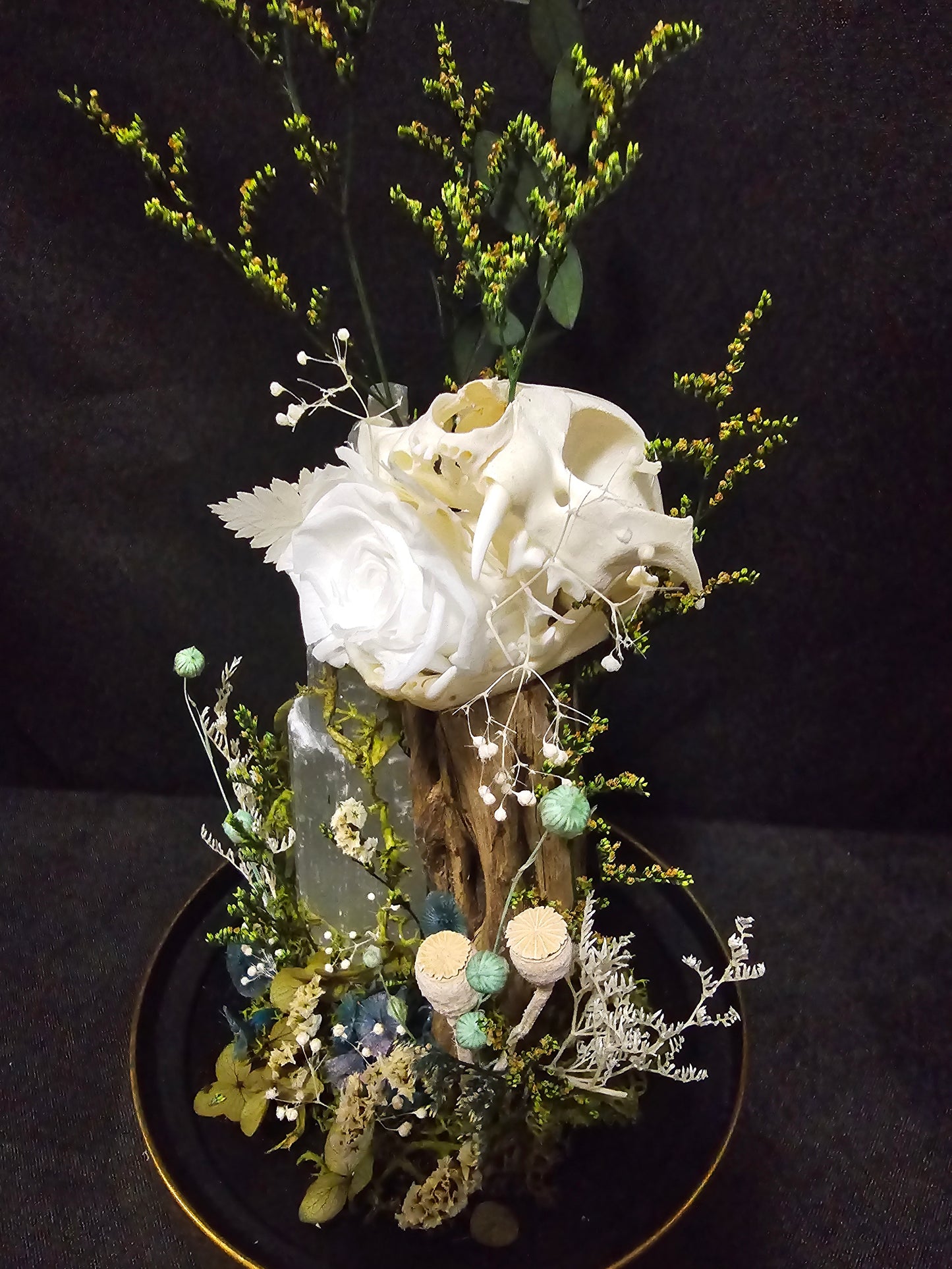 Cat Selenite Terrarium