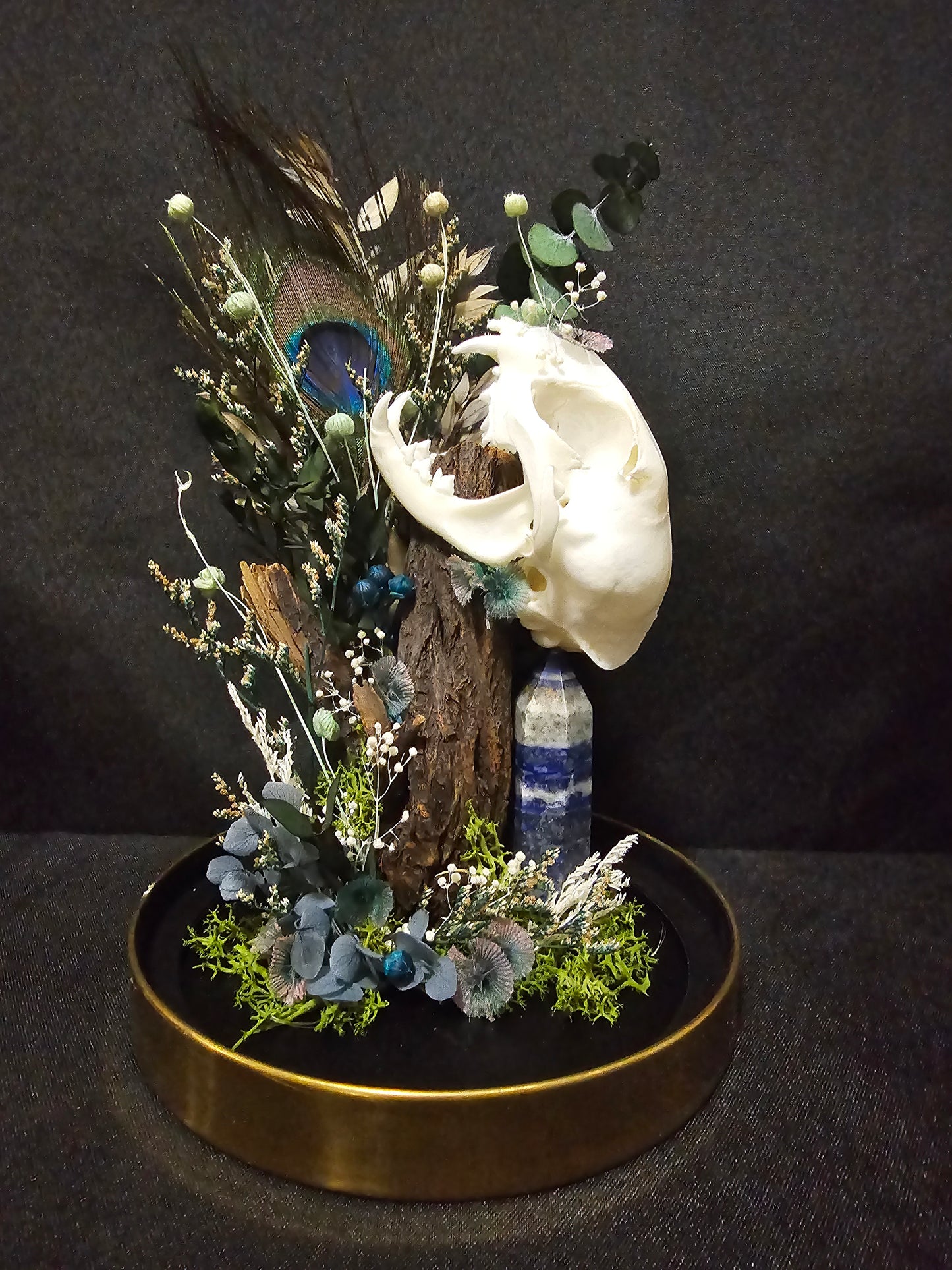 Cat Sodalite Terrarium