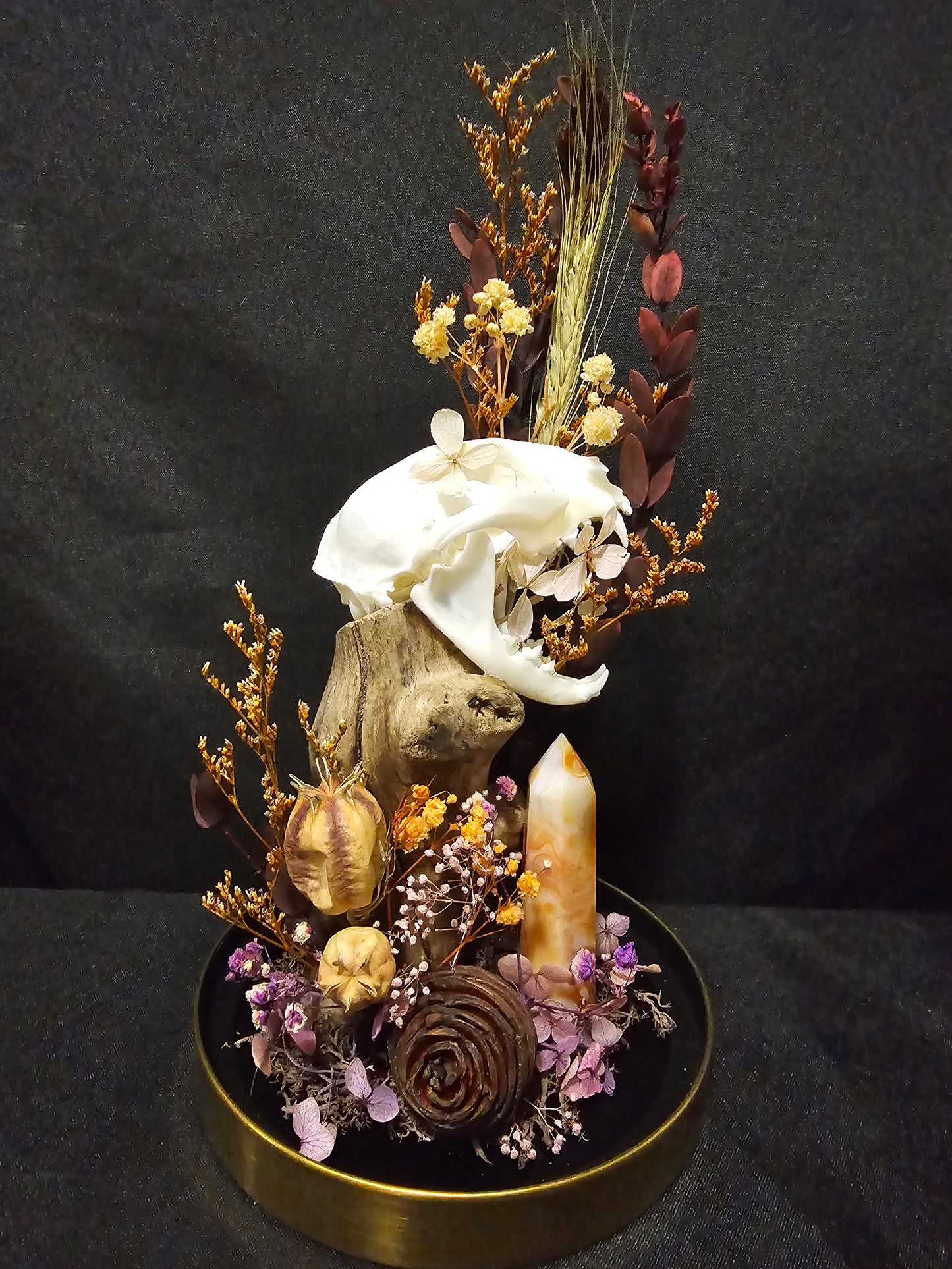 Cat Halloween Terrarium