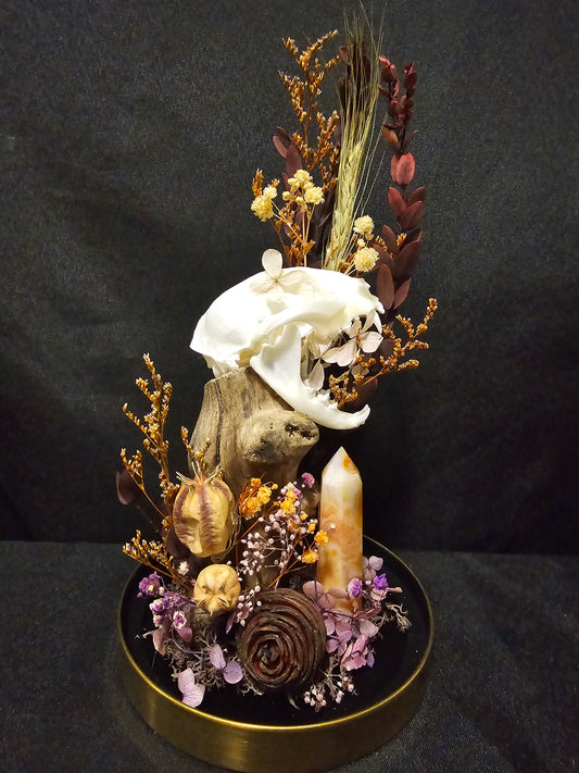 Cat Halloween Terrarium