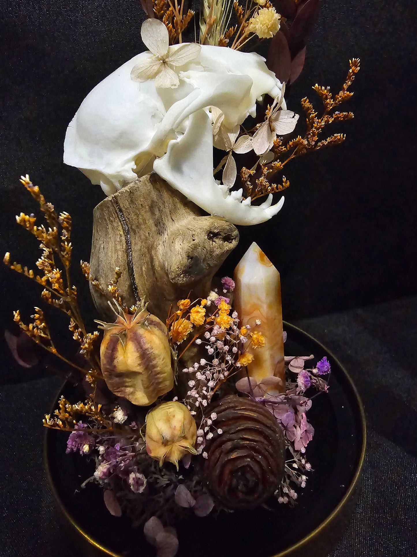 Cat Halloween Terrarium