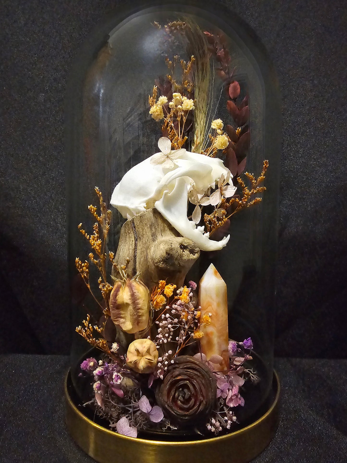 Cat Halloween Terrarium