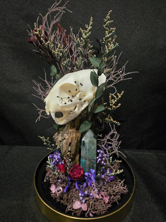 Cat Blue ApatiteTerrarium