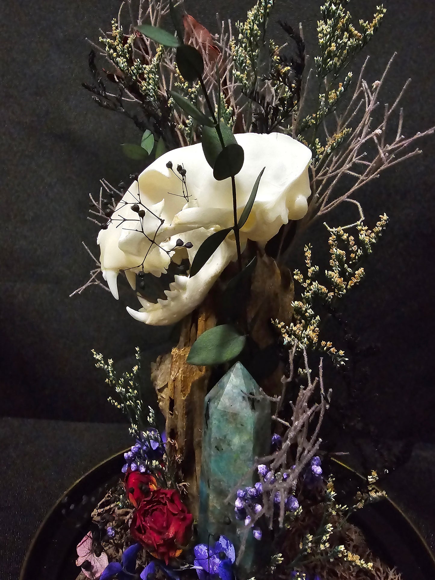 Cat Blue ApatiteTerrarium