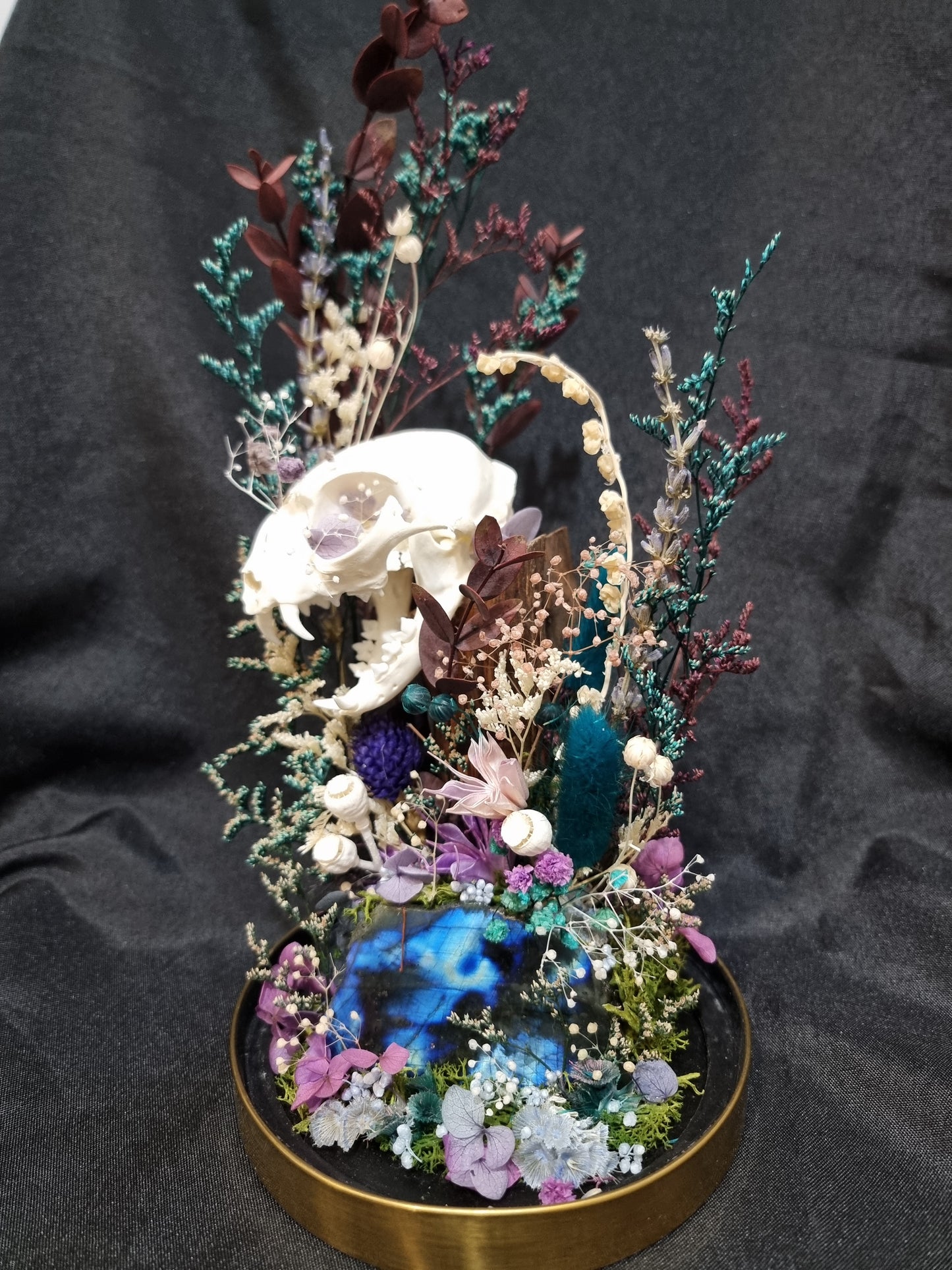 Cat Labradorite Terrarium